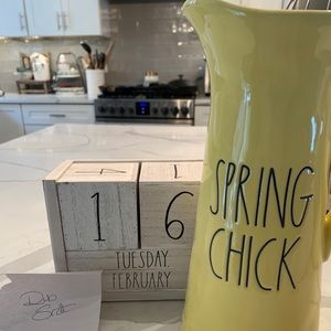 Rae Dunn spring chick pitcher